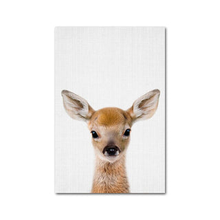 Wildlife Animal Prints