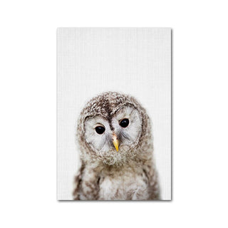 Wildlife Animal Prints