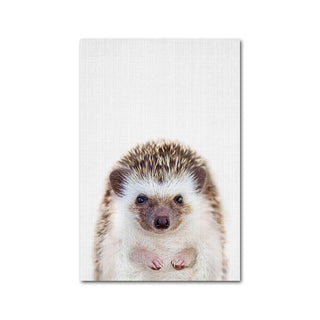 Wildlife Animal Prints