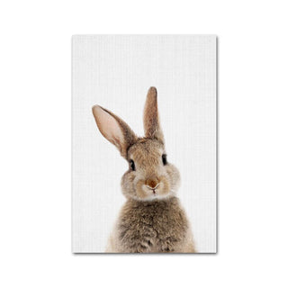 Wildlife Animal Prints