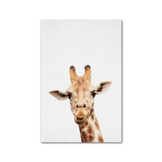 Wildlife Animal Prints