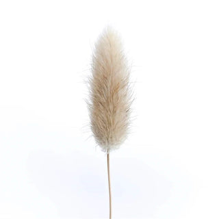Bunny Tails