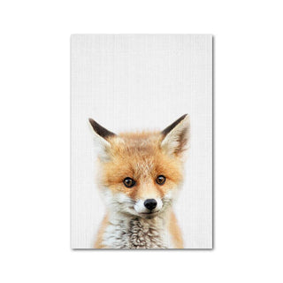 Wildlife Animal Prints