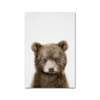 Wildlife Animal Prints
