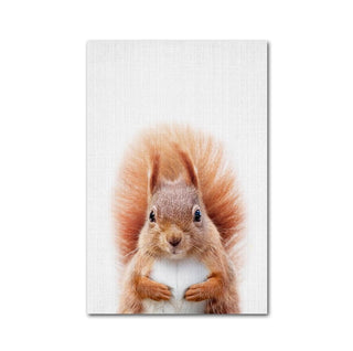 Wildlife Animal Prints