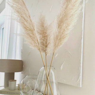 Pampas Grass