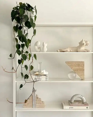 Cloud Shape Stone Bookends