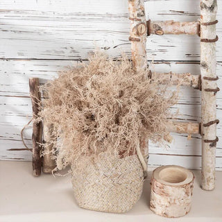 Dried Grass